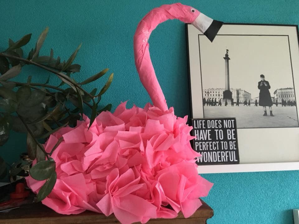 surprise flamingo