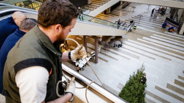 Kerstboom Tweede kamer acht meter hoog