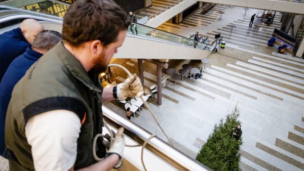 Kerstboom Tweede kamer acht meter hoog