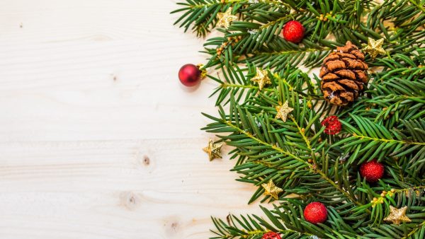 Kerstboom Tweede Kamer acht meter hoog