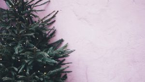 KERSTBOOM IS BEREGEZELLIG, VINDEN OOK DE 25.000 BEESTJES DIE ERIN WONEN