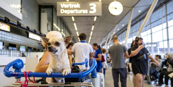 schiphol-storing-nuldraad