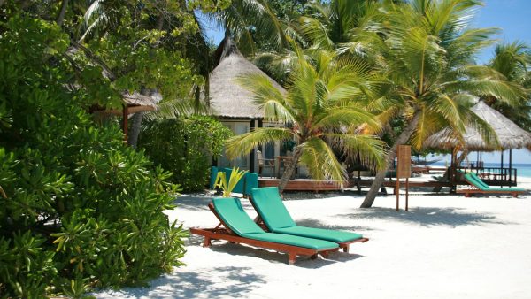 We droomden dit jaar massaal van een vakantie naar de Malediven