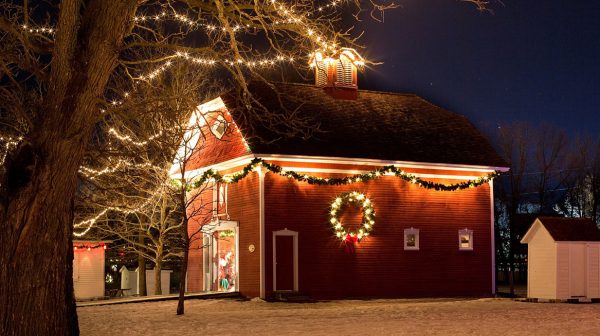 Kerstkind-op-komst-onthul-het-geslacht-met-gender-reveal-kerstverlichting