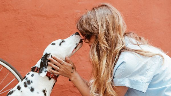 huisdieren hond kat scheiding uit elkaar verdelen julia mekkes dave roelvink