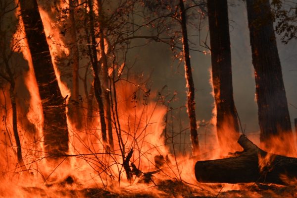Twee doden door bosbranden Australië, duizenden mensen vast op strand