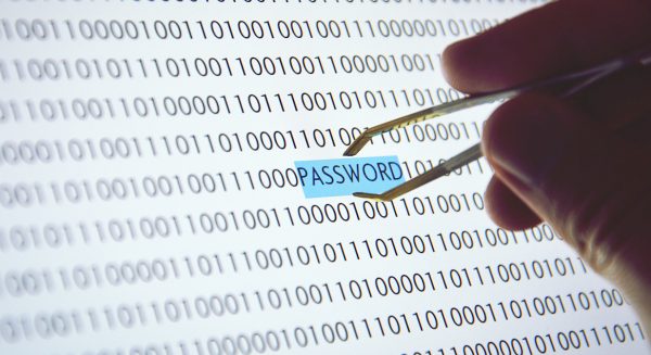 Arnhemmer opgepakt verkopen wachtwoorden
