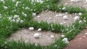 Thumbnail voor Zandstormen, hagel en onweer: video's tonen geteisterd Australië