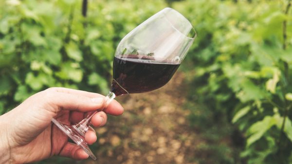 Dag Cabernet Sauvignon: 175.000 liter rode wijn door ongeluk in de rivier