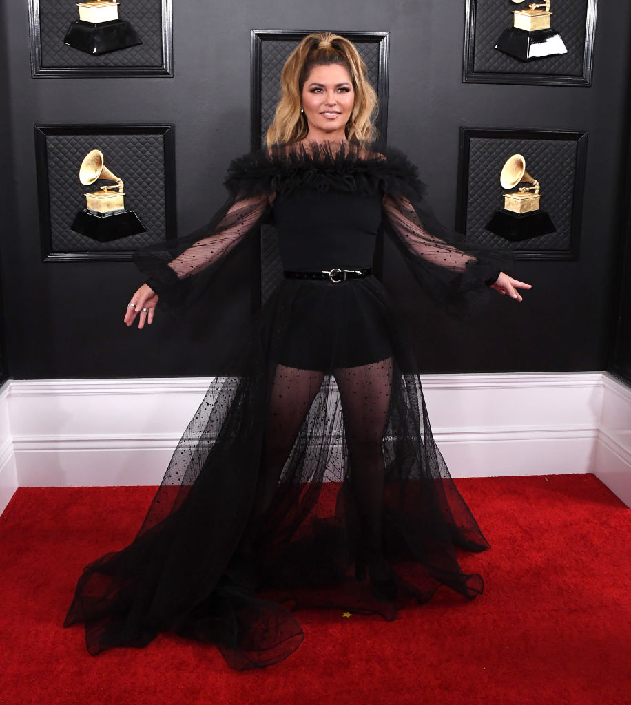 62nd Annual GRAMMY Awards - Arrivals