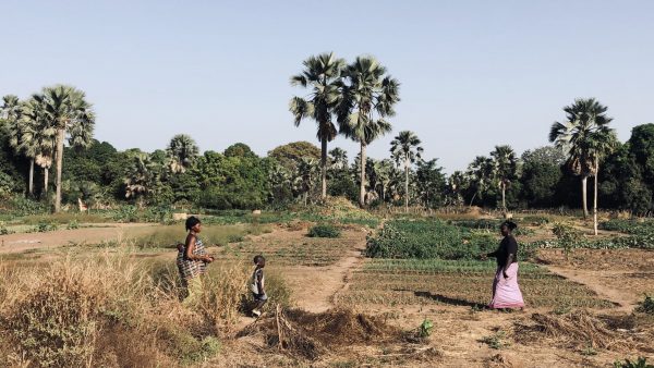 rondreis Gambia