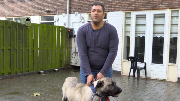 Meester Frank Visser doet uitspraak over burenruzie tussen Ahmet met hond en Rodney en Marcella in Rotterdam fragment gemist
