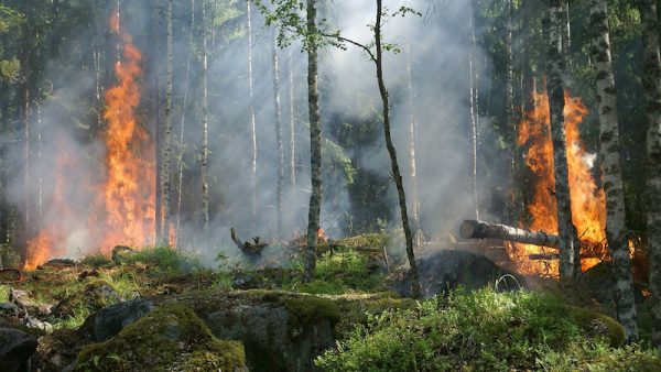 Australie bosbranden worden geblust door regen