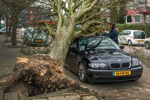 Veel schademeldingen door storm Ciara bij verzekeraar en Rijkswaterstaat