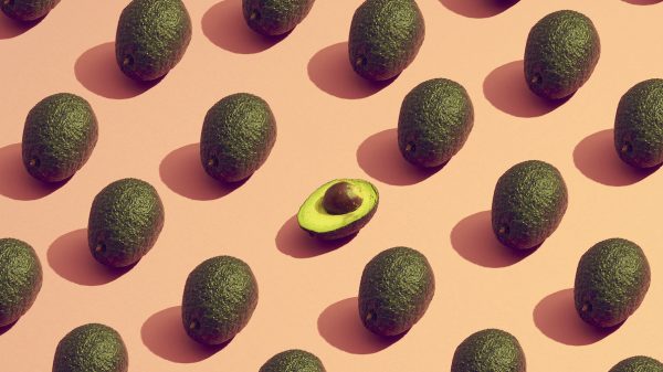 avocado's groene goud mexicaanse drugskartels populair export