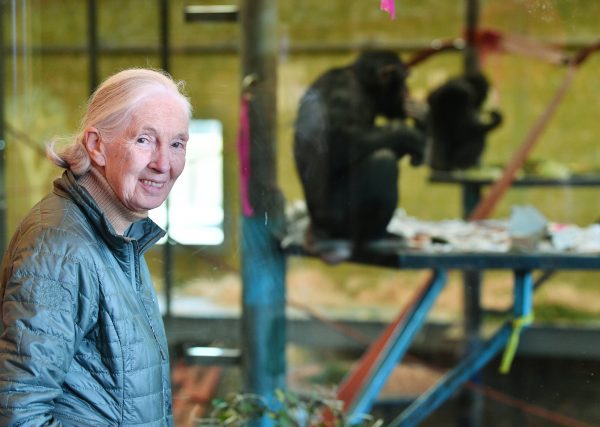 Knappe koppen: deze vrouwen maken furore in de wetenschap