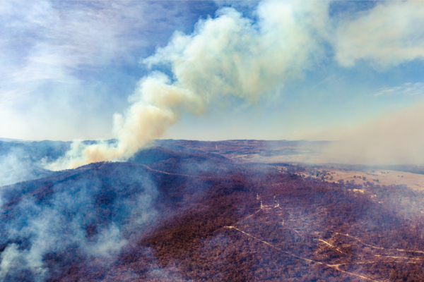 bosbranden Australië zijn eindelijk onder controle