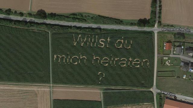maisveld aanzoek