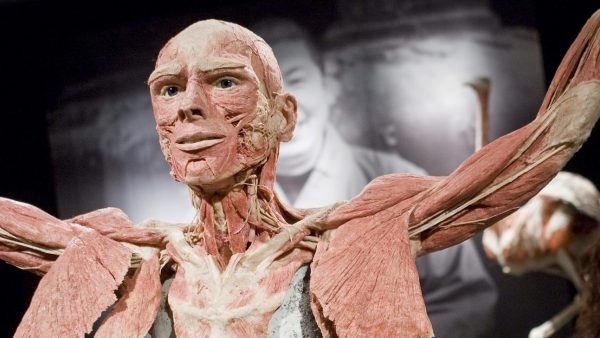 Henk Body World lichaam tentoonstellen