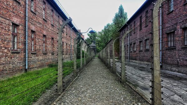 auschwitz bol.com boeken nazi