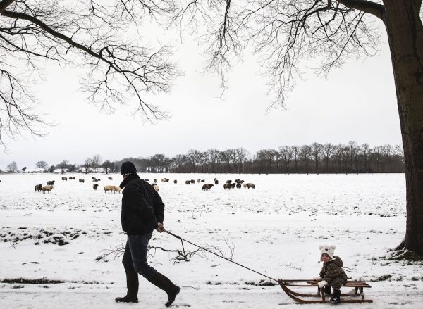 Toch geen sneeuwloze winter: winterse buien en sneeuw voorspeld