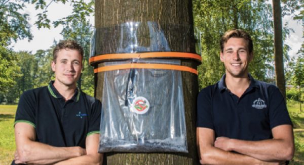 rupsenval broers bij boom