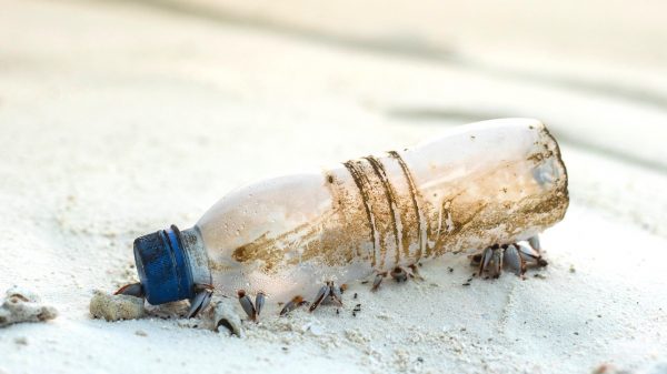 Plastic afval op het strand - landen sluiten pact om plastic afval te verminderen