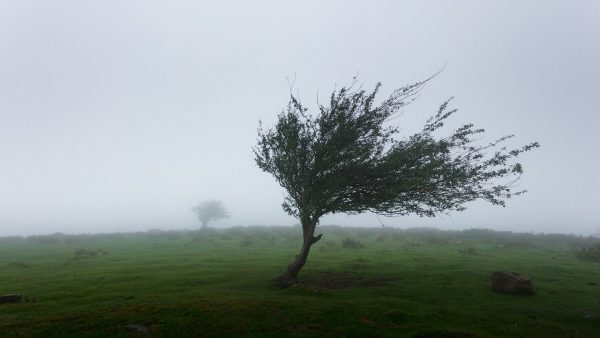 code geel vanwege hard windstoten in nederland