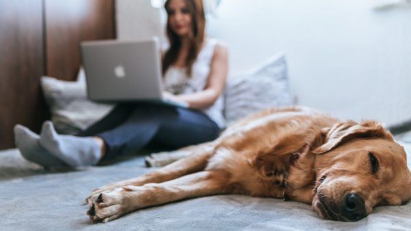 Thuiswerken? 'Neem elke tien minuten een micropauze'