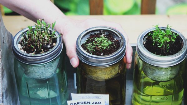 Tuinieren zonder tuincentrum: 7 tips waarvoor je de deur niet uit hoeft