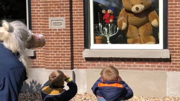 Van reuzeberen tot bankje vol: 10 x ook jullie doen mee met 'berenjacht'