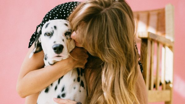 Dierenbescherming over honden in coronacrisis