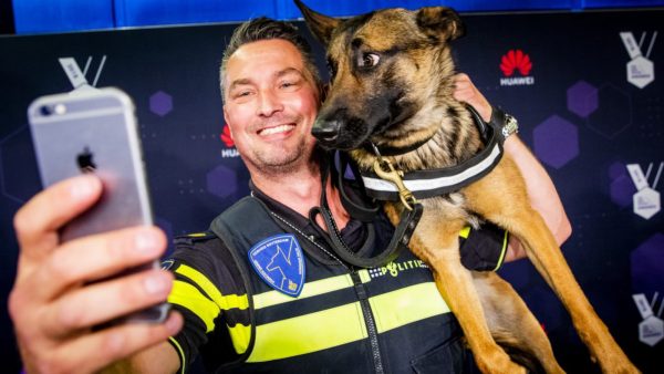 Politiehond Bumper is terug als Instagram-ster, maar laat de boeven links liggen