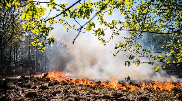 Natuurbrand Herkenbosch Limburg inwoners ontruimd