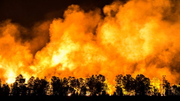 Natuurbrand Deurnse Peel grootse brand ooit in Nederland