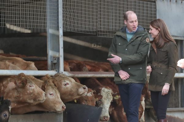 Prins William Kate