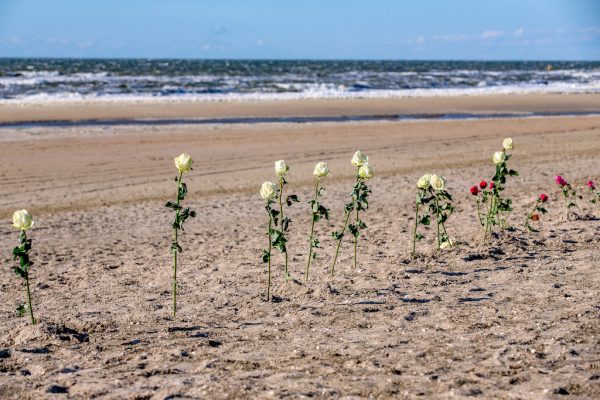 ROZEN VOOR OMGEKOMEN SURFERS