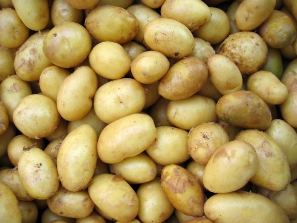 aardappelen gedumpt voor supermarktketen DEEN