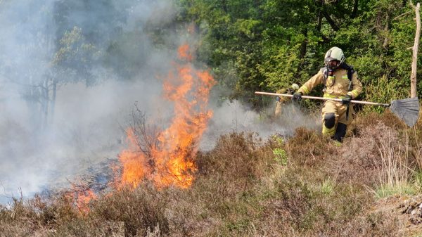 brandweer-roept-op-bermen-met-spoed-te-maaien-vanwege-dreiging-natuurbranden
