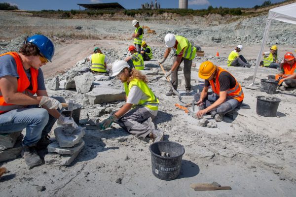 245 miljoen jaar oud (en tóch nieuw) Pissebed ontdekt in Winterswijk