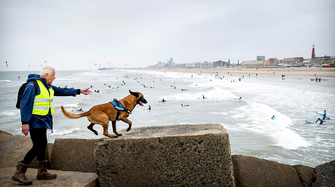 zoektocht vermiste surfer scheveningen1