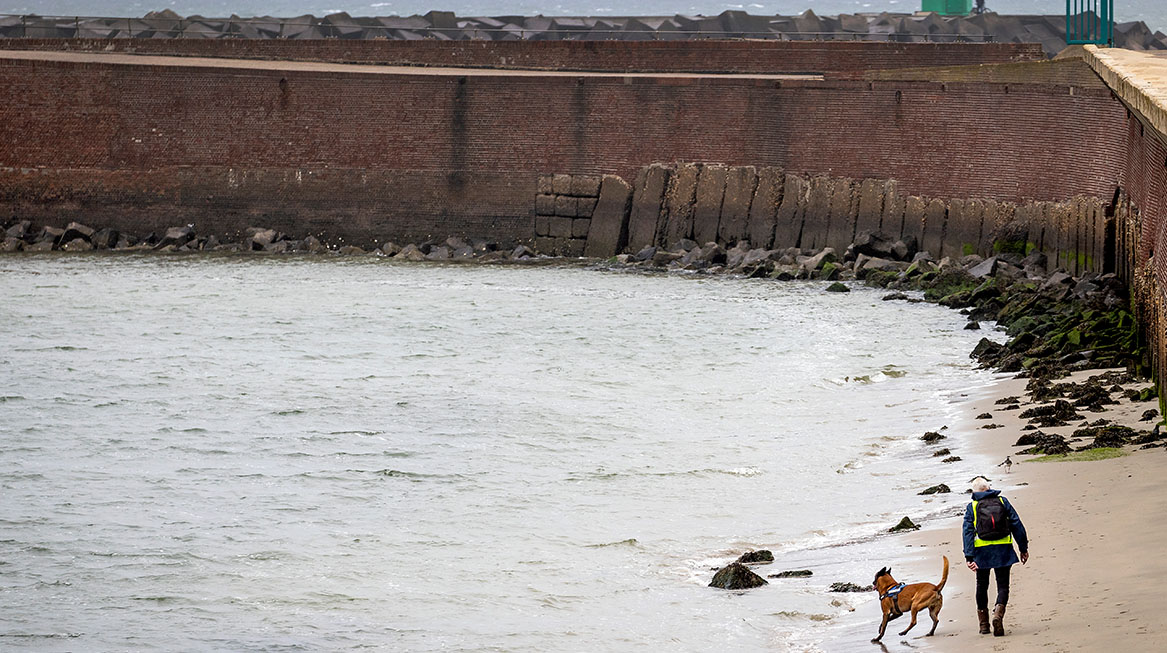 zoektocht vermiste surfer scheveningen