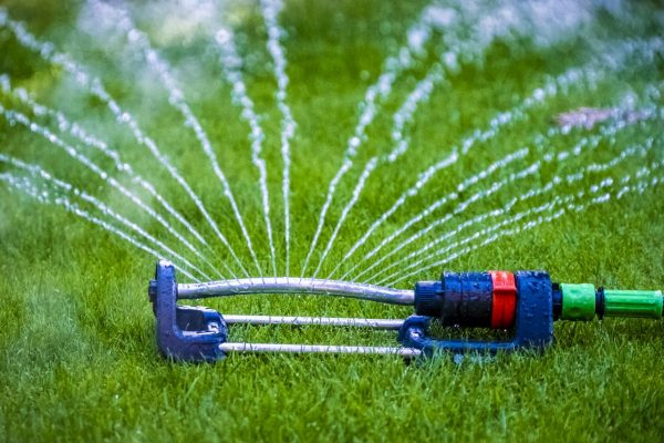 Extreme droogte, waterbeheerders snakken naar regen in juni