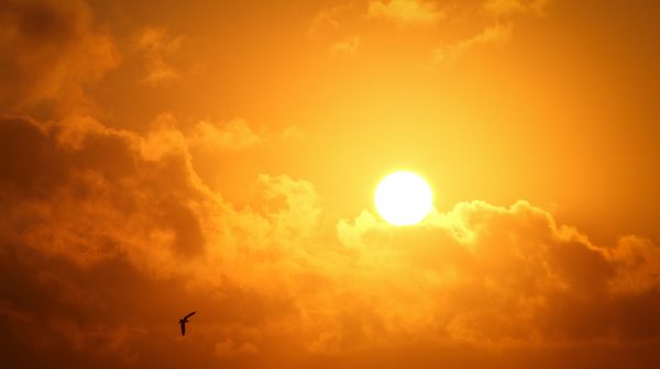 Smeren geblazen: zonnig Pinksterweekend in het vooruitzicht