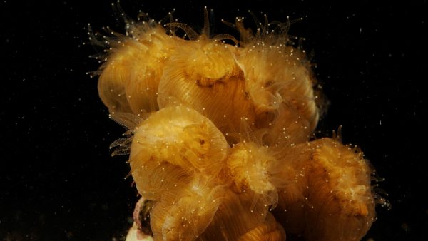 Even genieten: deze foto's zijn een ode aan prachtige oceanen