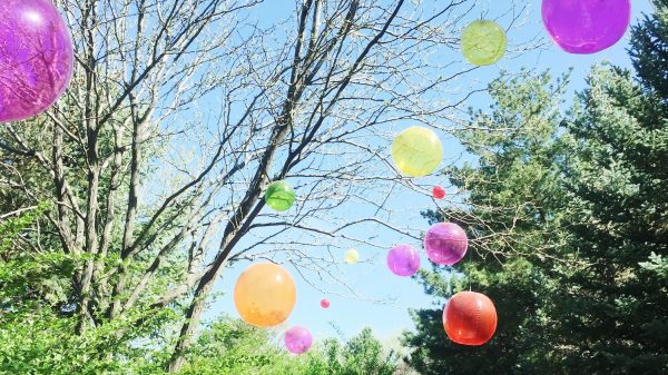 Steeds meer gemeenten verbieden oplaten ballonnen