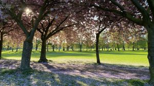 Thumbnail voor 58-jarige Linda in bijzijn van kleinkinderen beroofd van gouden ketting