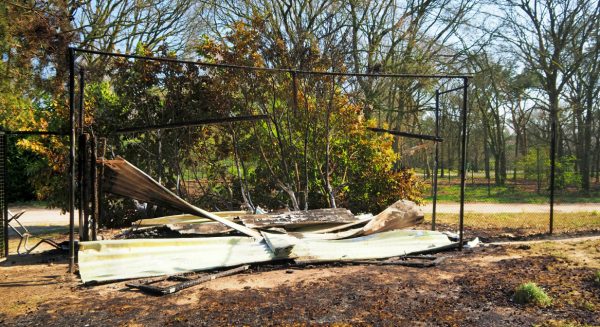 man opgepakt brandstichting safaripark beekse bergen (1)