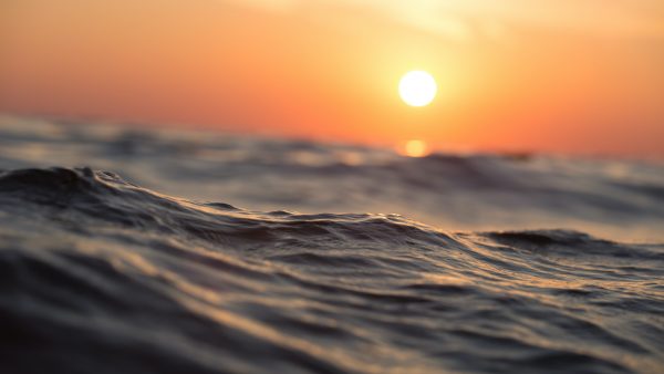 reddingswerkers duitsland ameland zee zoektocht