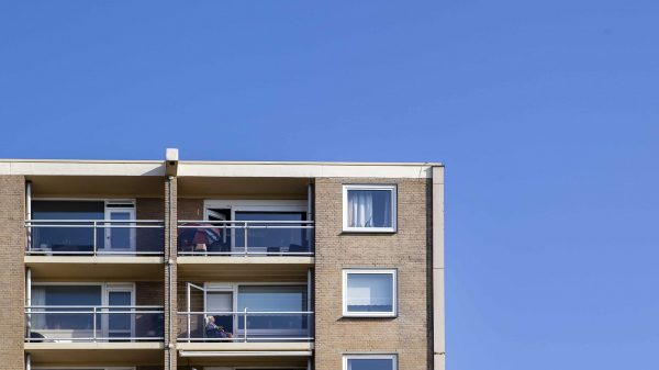flat appartement anp